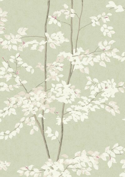 Lewis & Wood | Beech