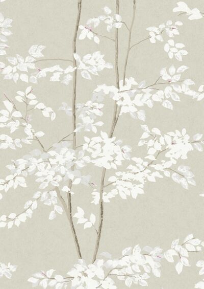 Lewis & Wood | Beech