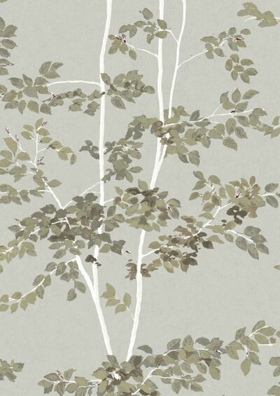 Lewis & Wood | Beech