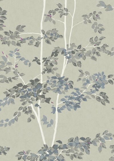 Lewis & Wood | Beech