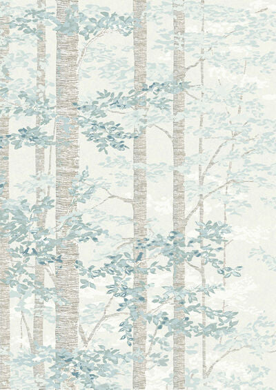 Lewis & Wood | Bosky