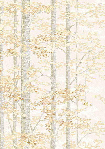 Lewis & Wood | Bosky