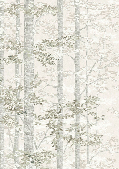 Lewis & Wood | Bosky