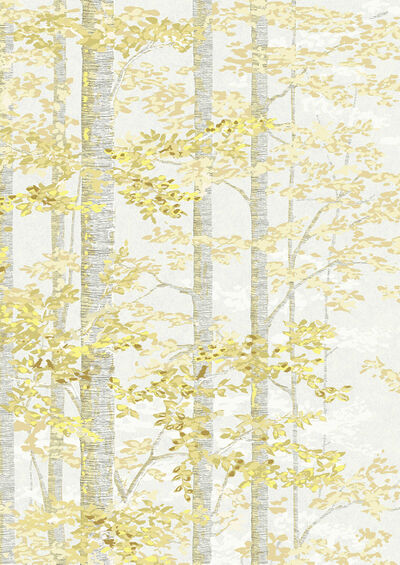 Lewis & Wood | Bosky