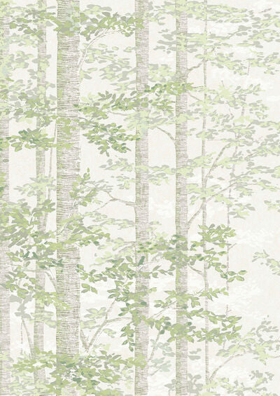 Lewis & Wood | Bosky