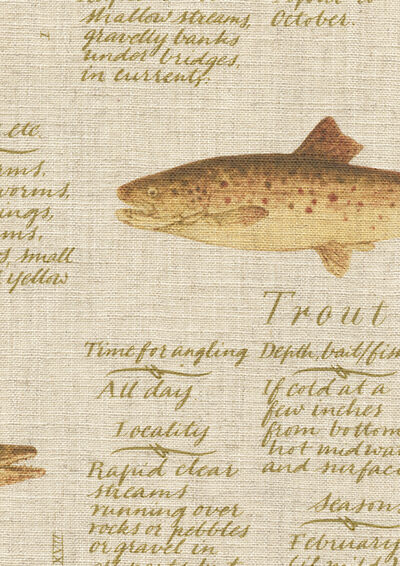 Lewis & Wood | European Fish