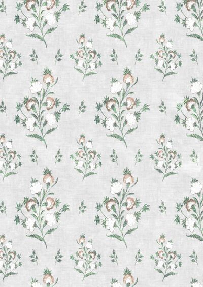 Lewis & Wood | Hindi Rose