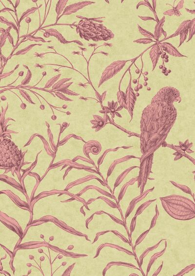 Lewis & Wood | Squak 