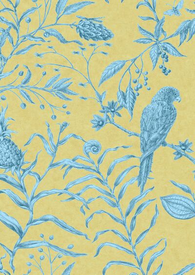 Lewis & Wood | Squak 