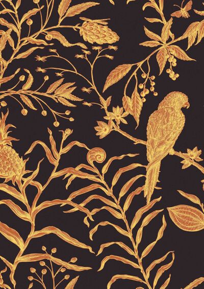 Lewis & Wood | Squak 