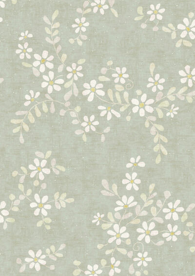 Lewis & Wood | Stellata